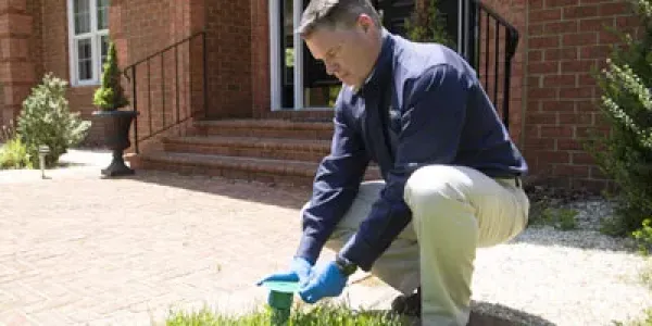 Tech checking termite bait