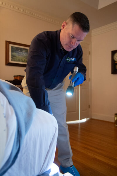 Bed Bug Treatment in Richmond, Virginia
