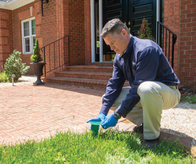 The Best Pest Control  in Richmond, VA