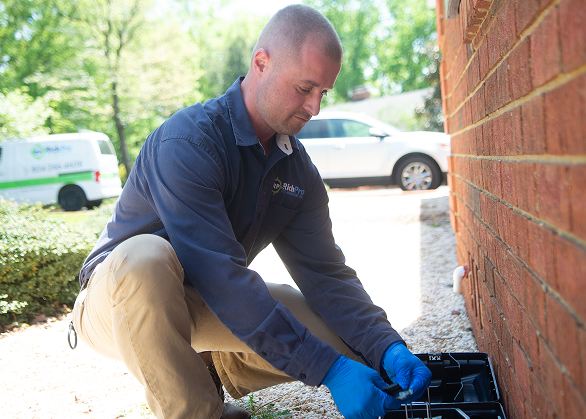 Our Pest Control Services in Virginia